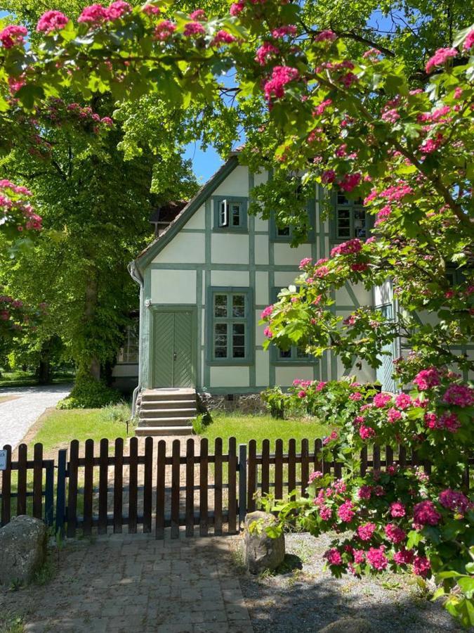 Jagdschloss Friedrichsmoor 노이슈타트글레베 외부 사진